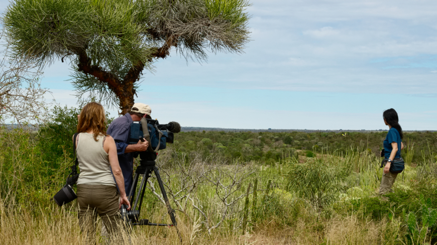  De totalt 7500 deltagarna fick titta på tv-program ur en rad olika genrer som nyheter och drama men också naturdokumentärer. Foto: Shutterstock